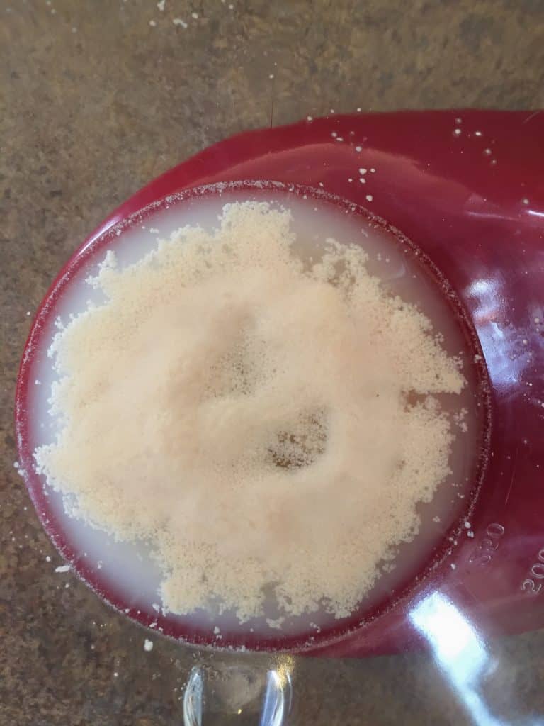 How the yeast should look when its ready to be used for challah bread.