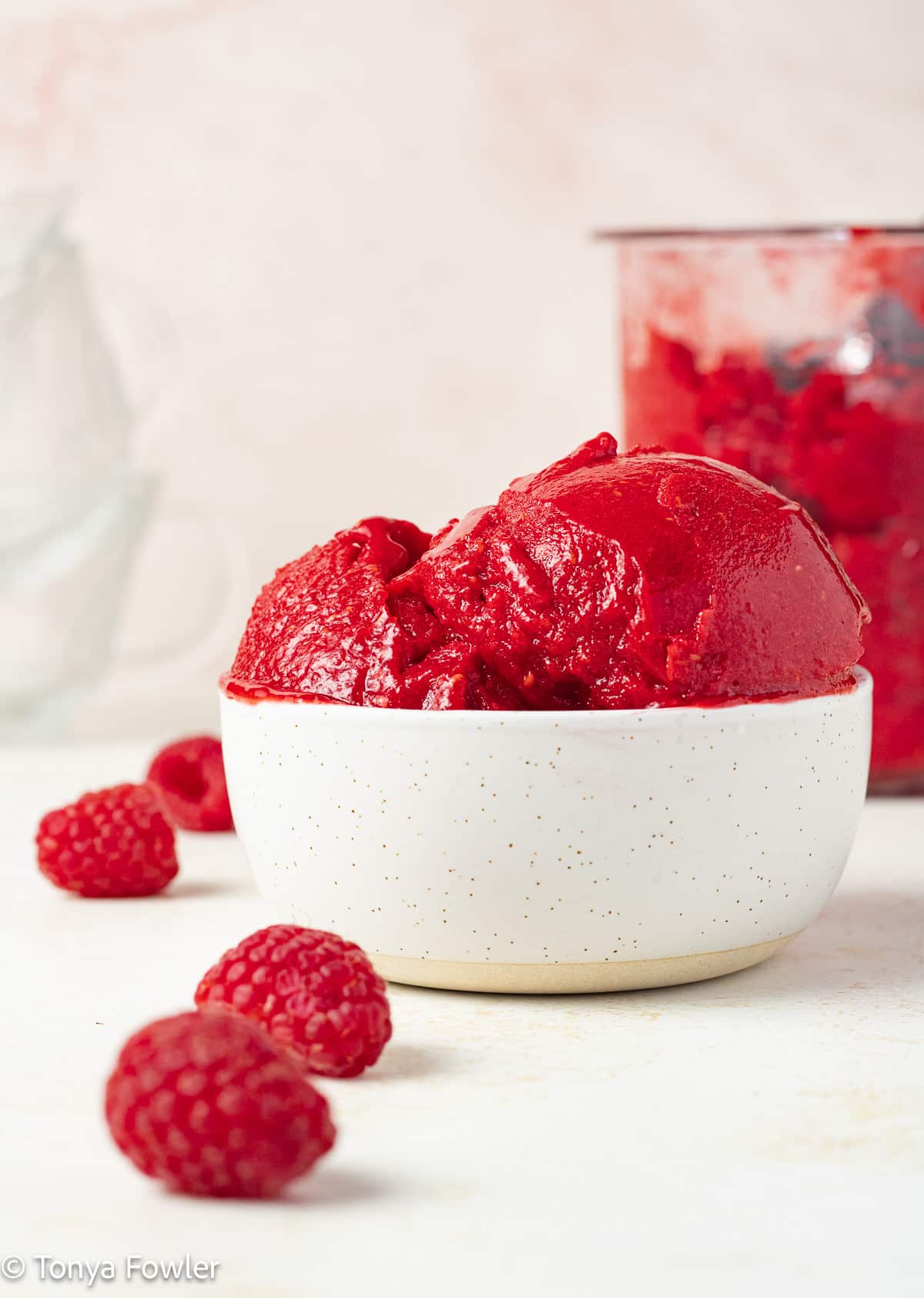 Raspberry Sorbet  America's Test Kitchen Recipe